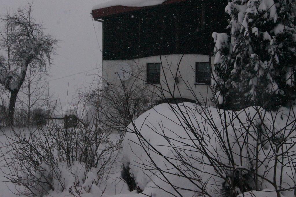 Pensjonat Nostalgia Sosnówka Exteriér fotografie